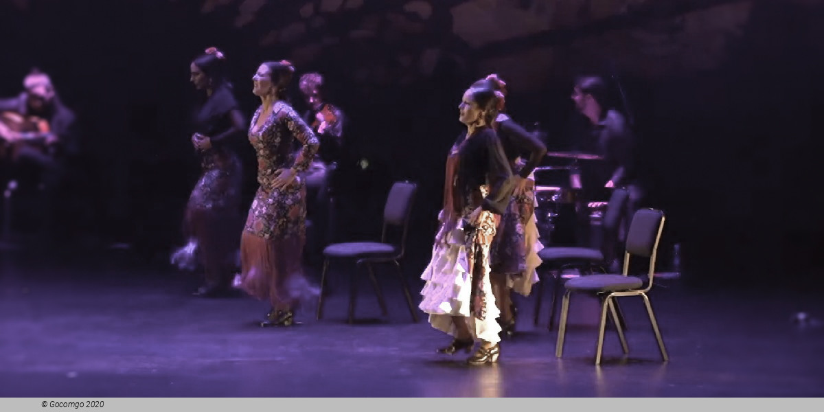 Scene 2 from the show "Flamenco Passion", photo 3