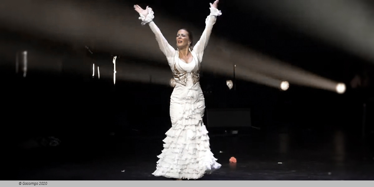 Scene 6 from the show "Flamenco Passion", photo 6