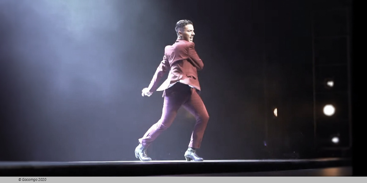 Scene 7 from the show "Flamenco Passion", photo 7