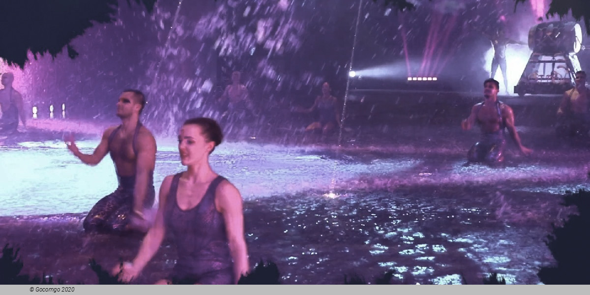 Scene 4 from the show "La Perle", photo 4