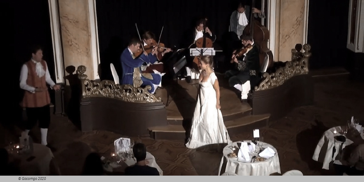 Mozart Dinner Concert, photo 6, photo 6