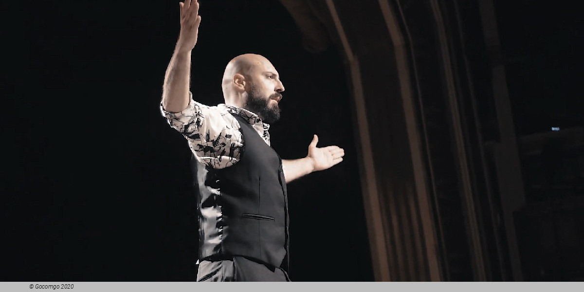 Flamenco Show in Barcelona, photo 4, photo 5