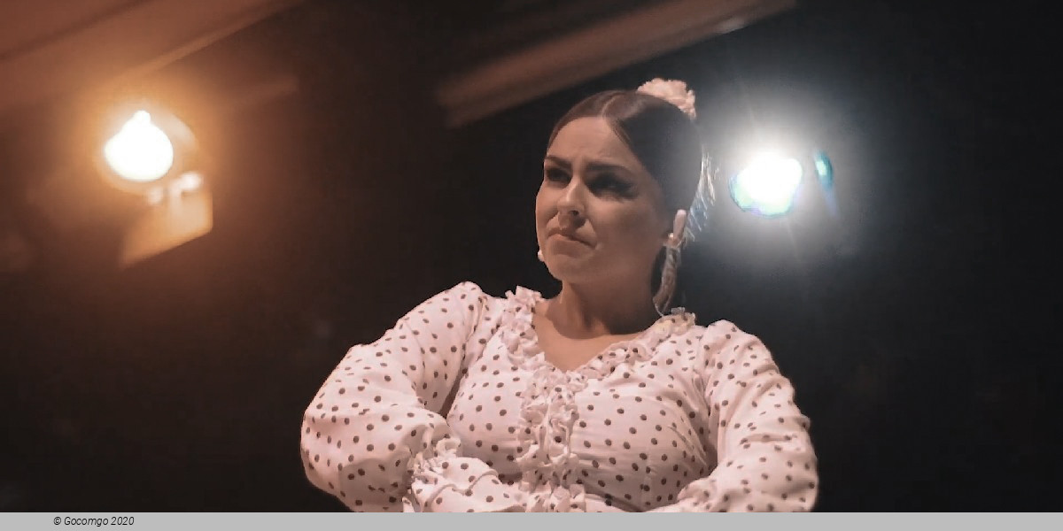 Flamenco Show in Barcelona, photo 5, photo 1