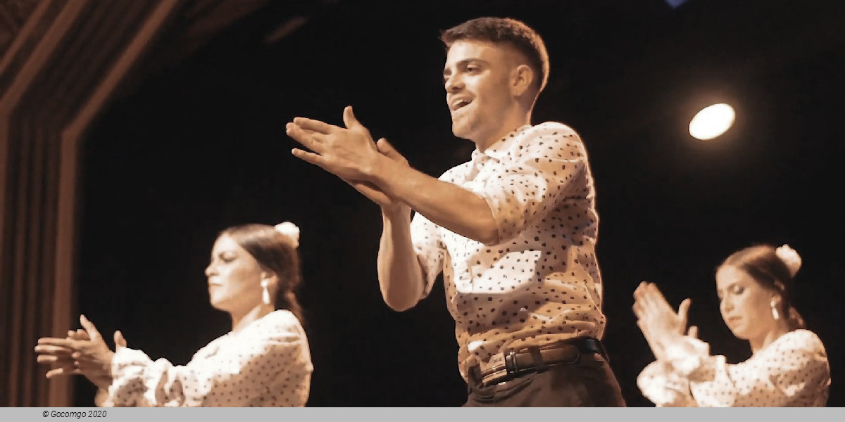 Flamenco Show in Barcelona, photo 7, photo 7