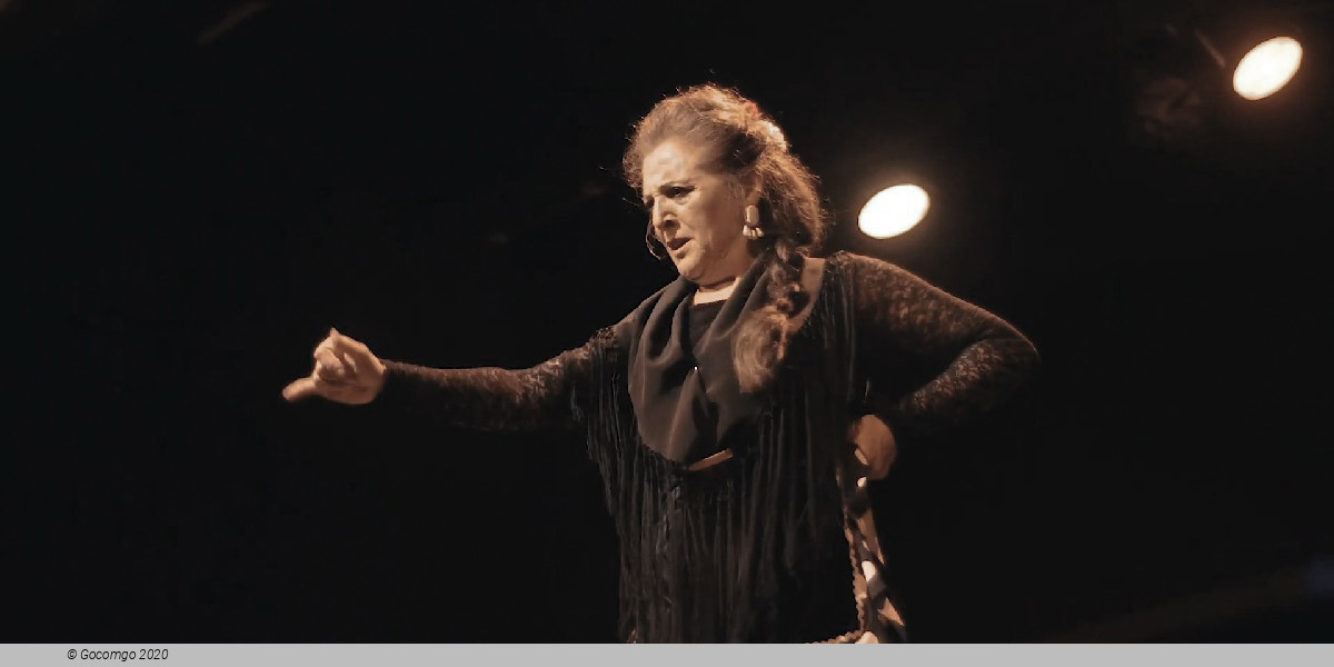 Flamenco Show in Barcelona, photo 9, photo 9