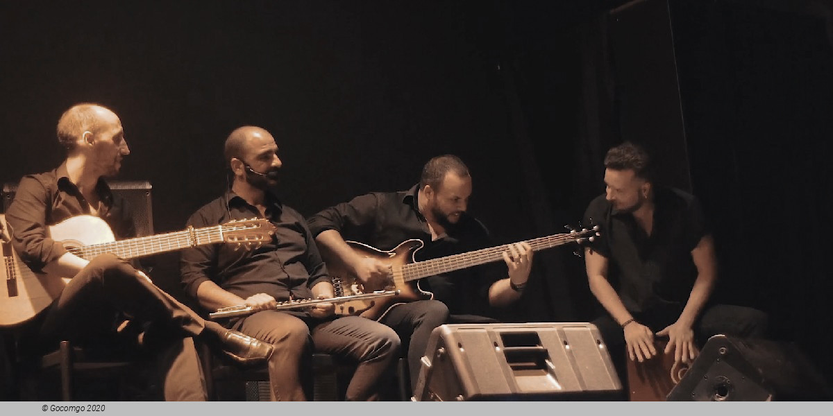Flamenco Show in Barcelona, photo 10, photo 10