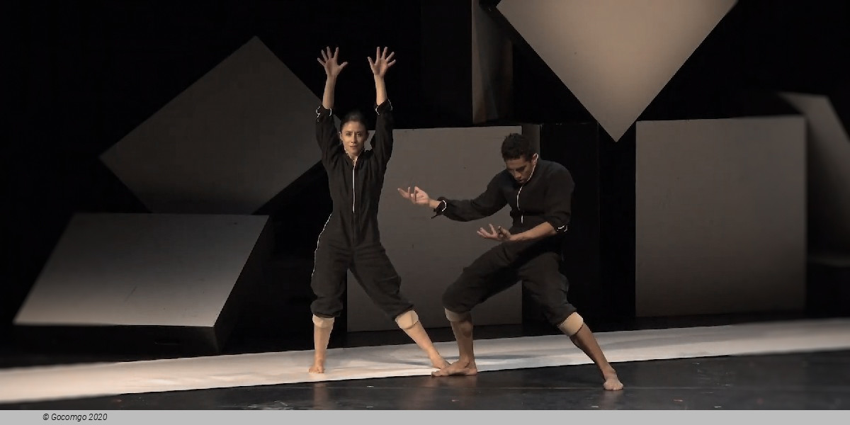 Scene 1 from the modern ballet "Cacti", photo 1
