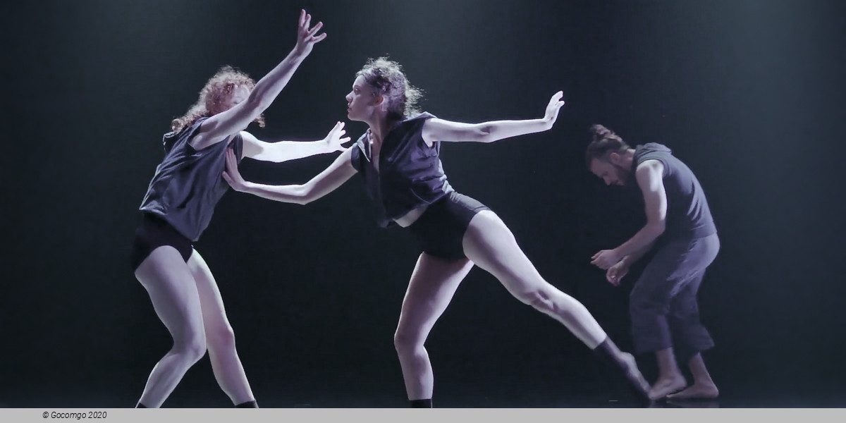 Scene 3 from the modern ballet "Asylum", photo 4