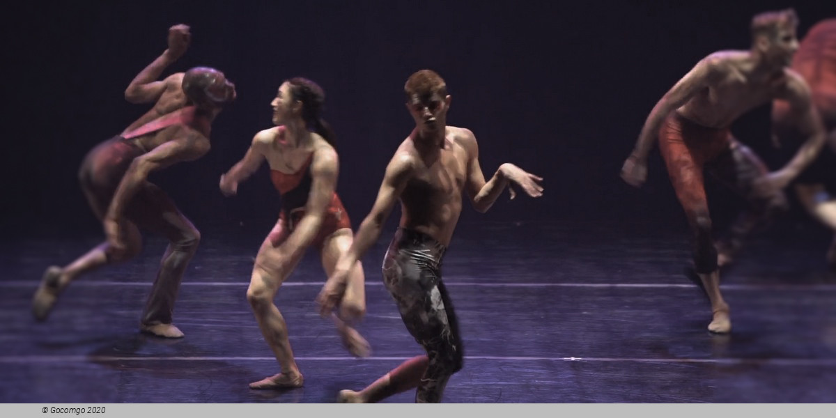 Scene 3 from the show "Star Dust - From Bach to Bowie", photo 3