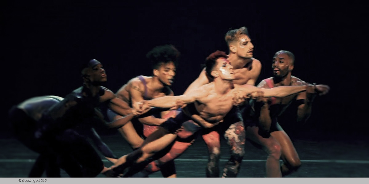 Scene 5 from the show "Star Dust - From Bach to Bowie", photo 5