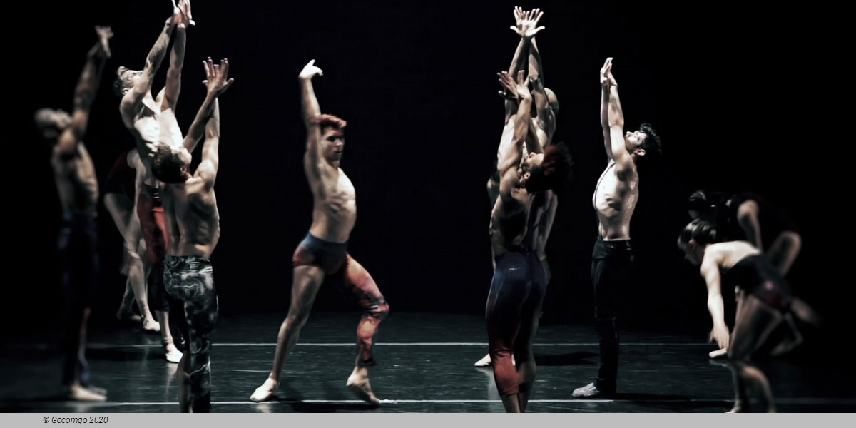 Scene 6 from the show "Star Dust - From Bach to Bowie", photo 6