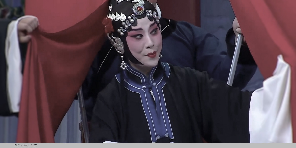 Scene 8 from the "Classical Beijing Opera Show", photo 8