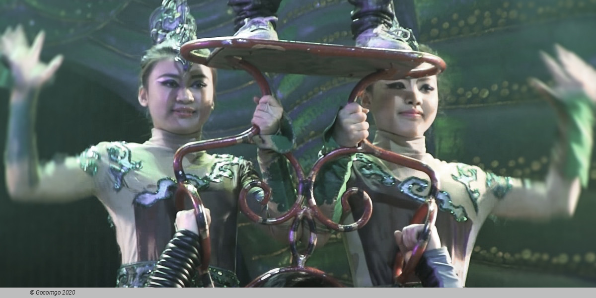 Scene 7 from the "Star Dream" Acrobatic Show, photo 7