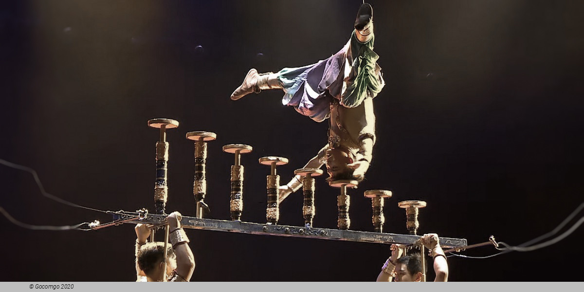 Shanghai Dinner and Acrobatics Show