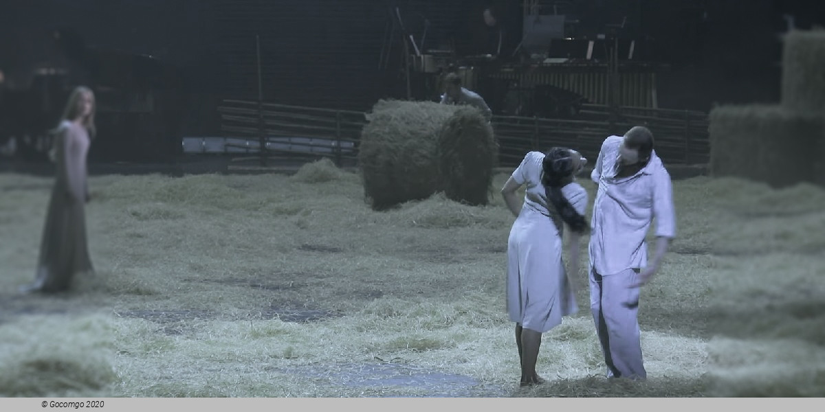 A Midsummer Night's Dream