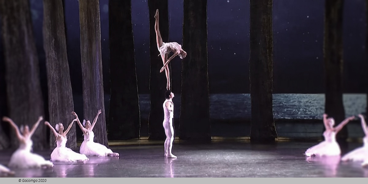 Guangzhou Arts Season 2023: Acrobatic Drama "Swan"