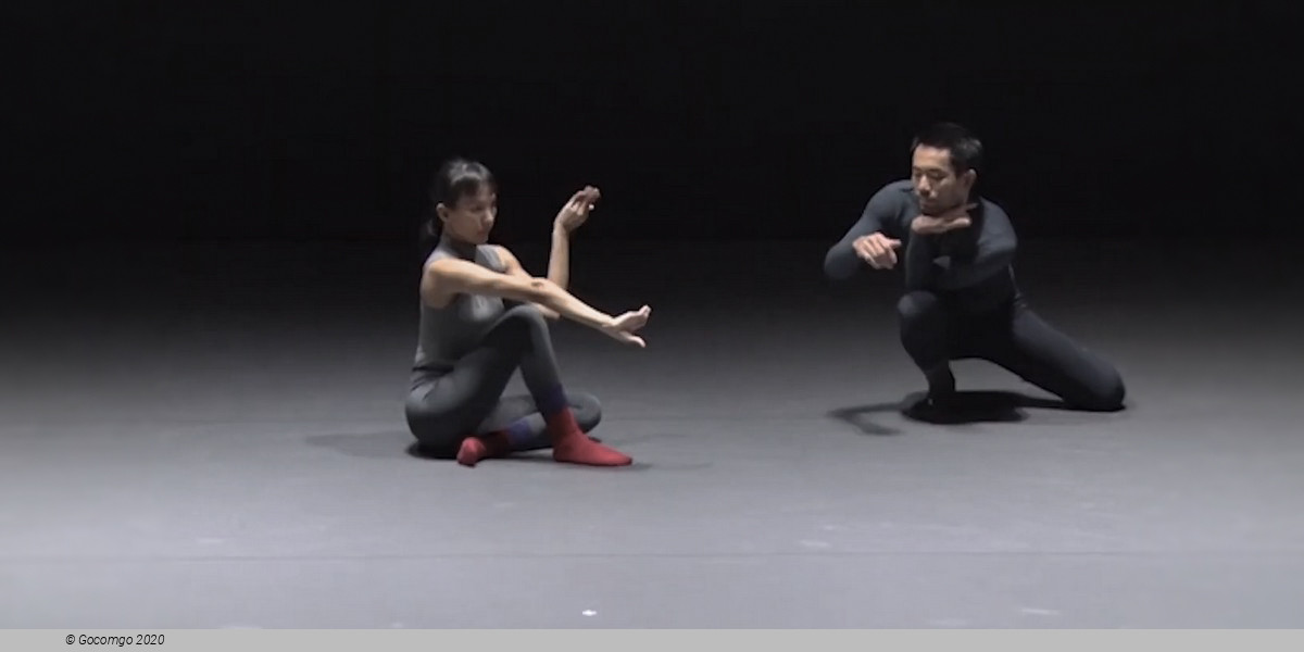 Pichet Klunchun: Cyber Subin, photo 1