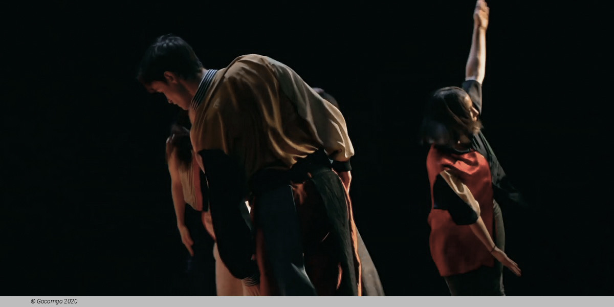 Firebird & Rite of Spring, photo 2