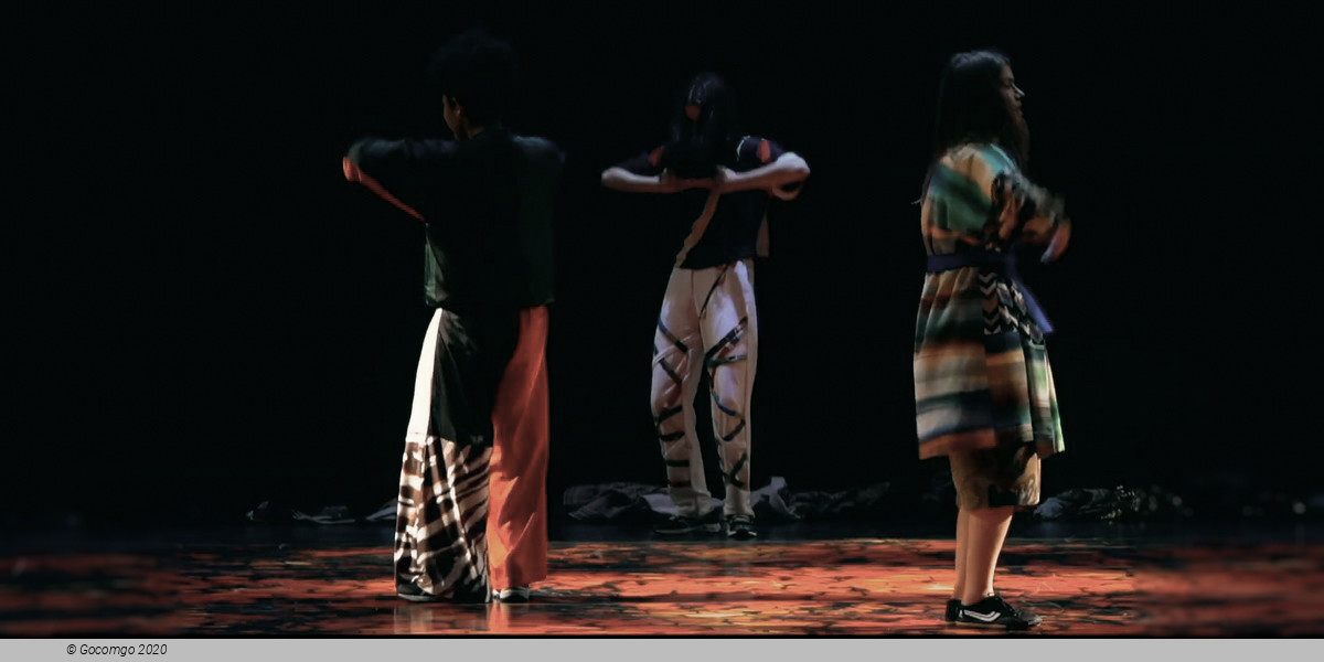 Firebird & Rite of Spring, photo 3