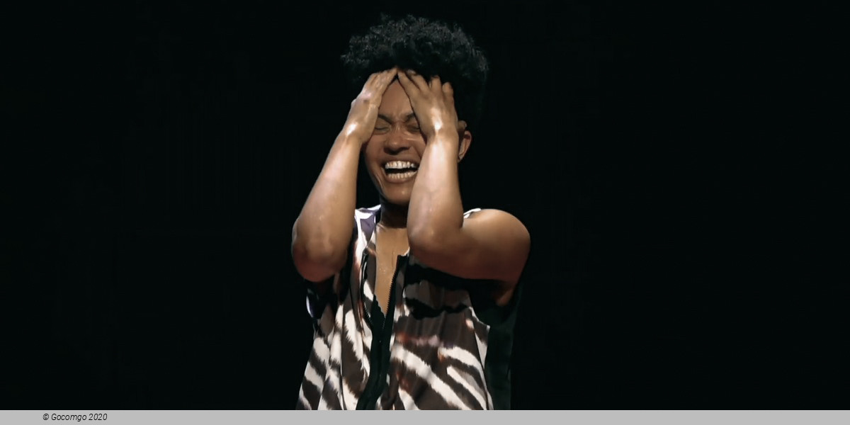 Firebird & Rite of Spring, photo 4