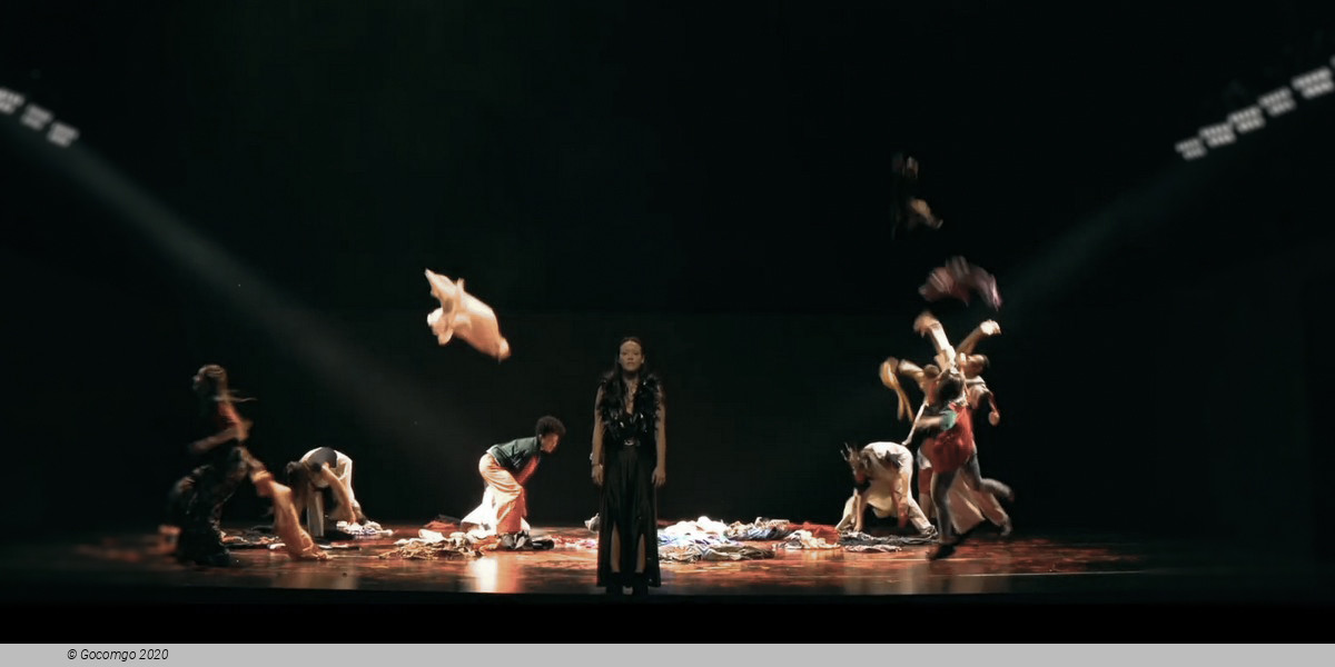 Firebird & Rite of Spring, photo 1