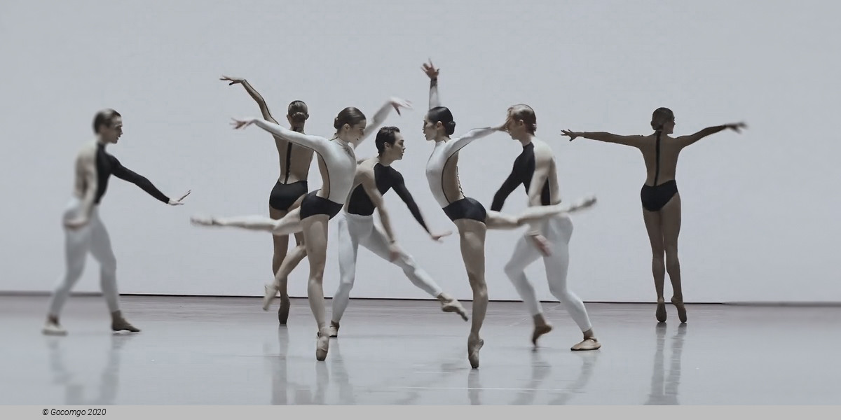 An evening of modern ballet "Contrasts": O złożony / O composite. If you couldn’t see me. Anima Animus. Drift Wood, photo 1