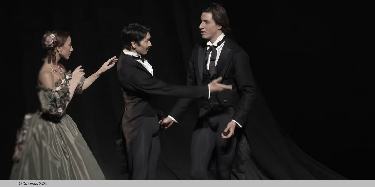 Die Fledermaus, photo 1