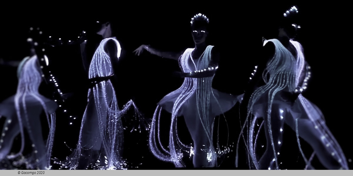 Ballet of Lights: Sleeping Beauty in a Sparkling Show, photo 1