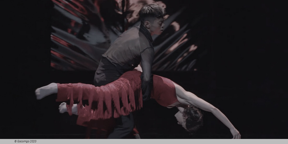 Carmen, photo 4
