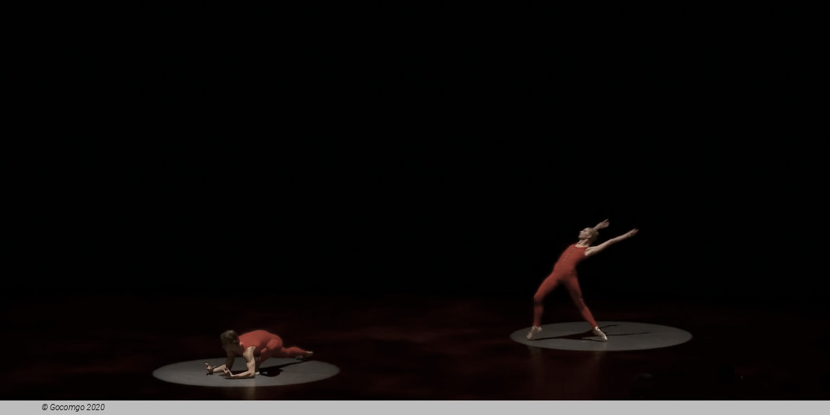 Red Angels, photo 10