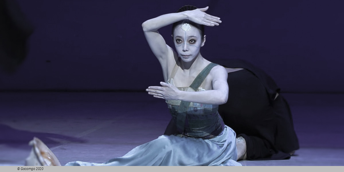 Hamburg Ballet - The Little Mermaid, photo 4