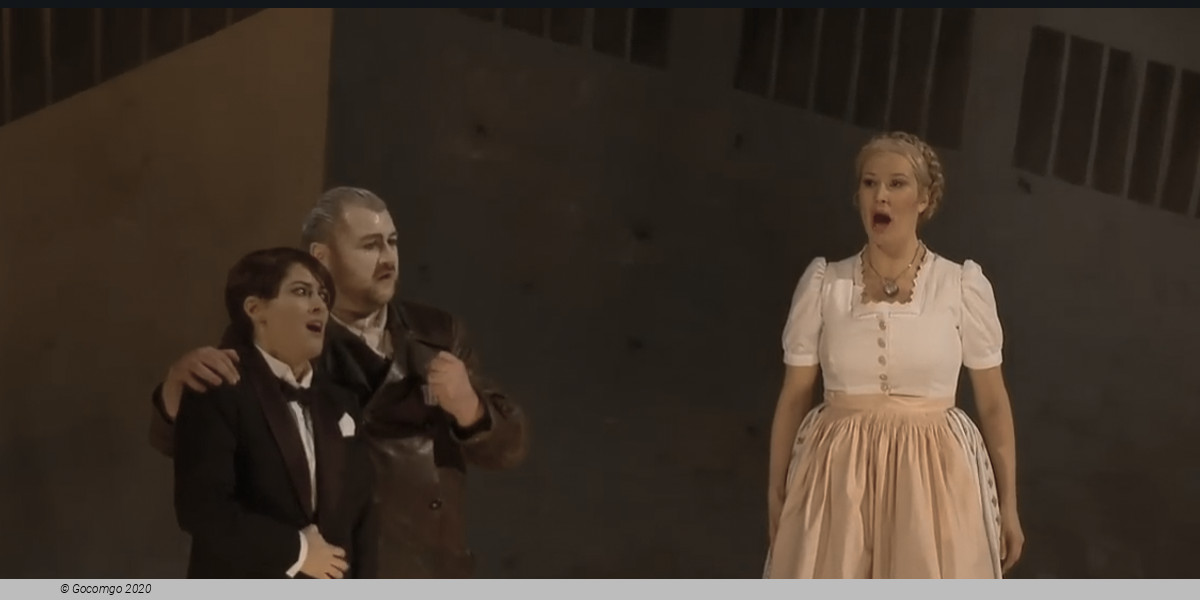 Rienzi, the last of the Tribunes, photo 5