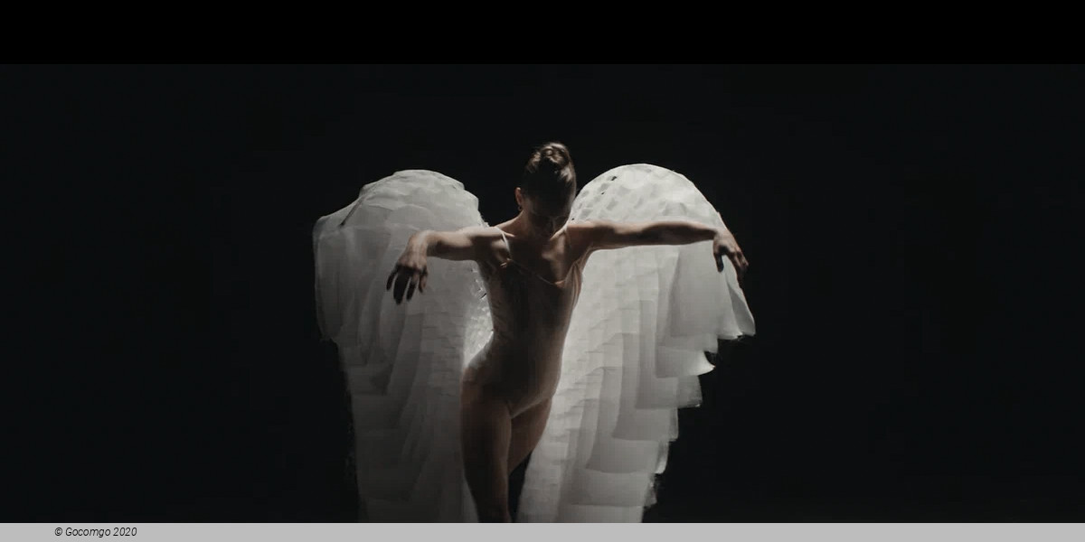 Foreseeable Future, photo 11