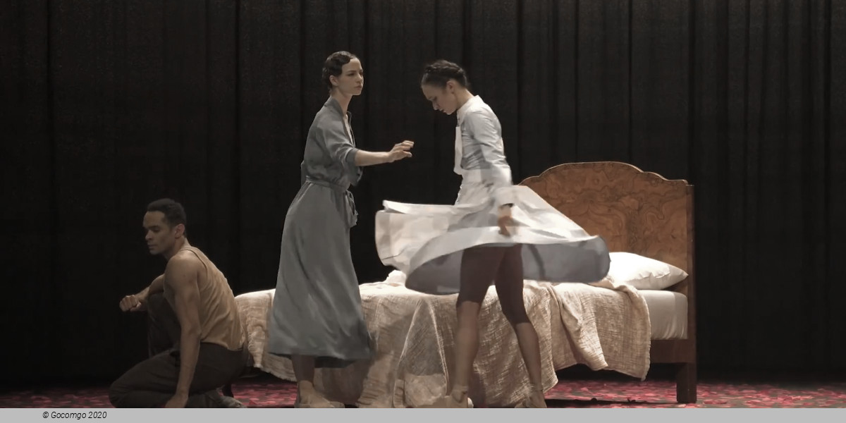 An evening of modern ballets "See the music, hear the dance": Serenade, Against the Tide, Peace of La Jolla, photo 7