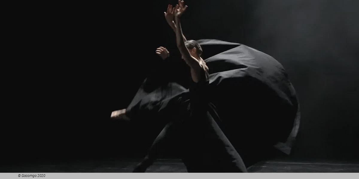 An evening of modern ballets "Background", photo 1