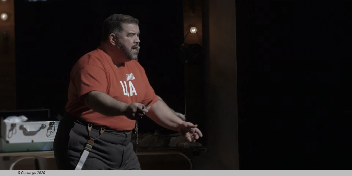 Pagliacci, photo 14