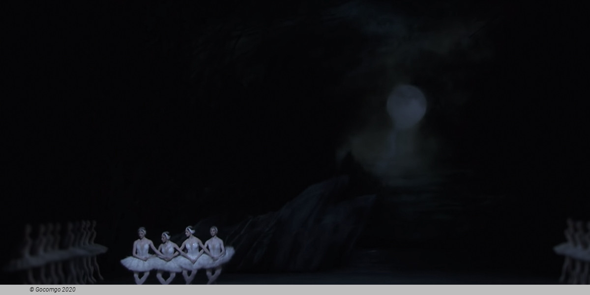 Swan Lake, photo 5