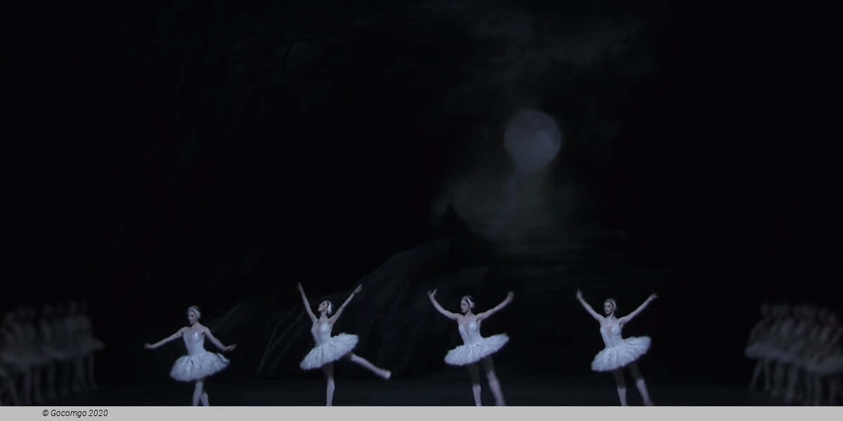 Swan Lake, photo 6