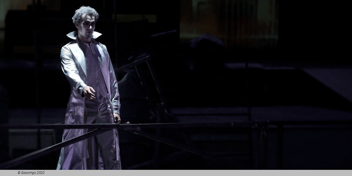 The Miracuolus Mandarin, photo 7