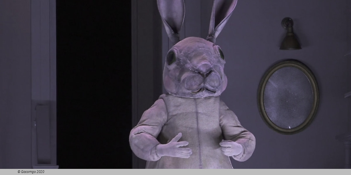 Alice in Wonderland(Children's Opera), photo 2