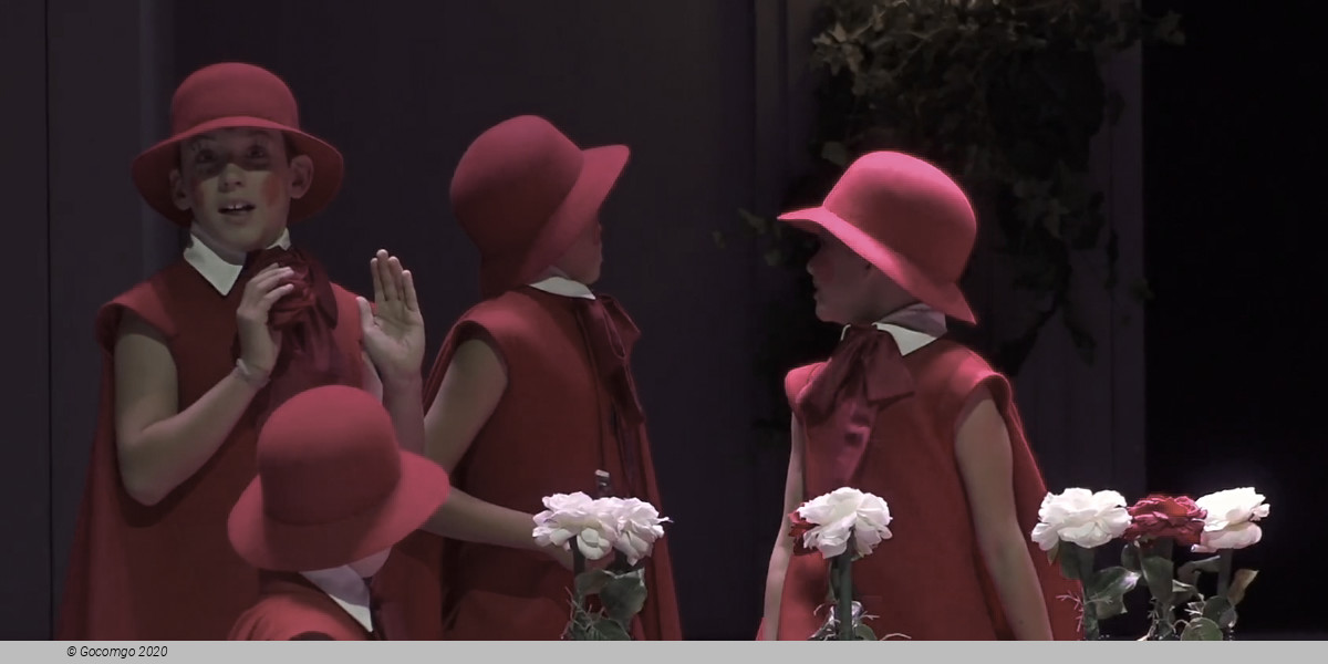 Alice in Wonderland(Children's Opera), photo 11