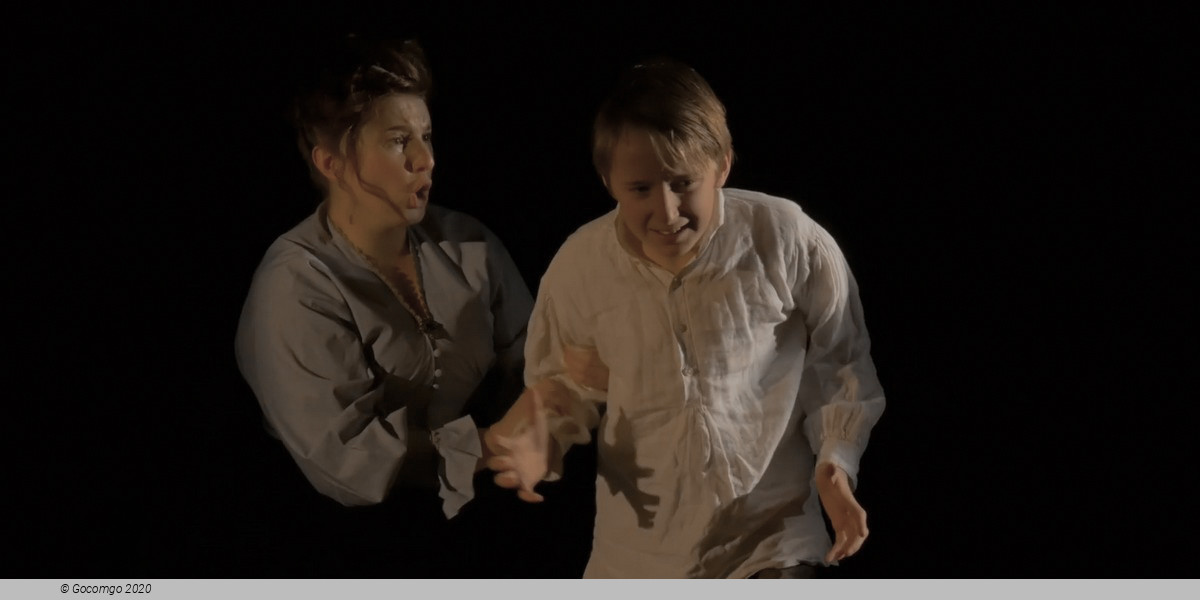 Scene 8 from the opera "The Turn of the Screw", photo 15