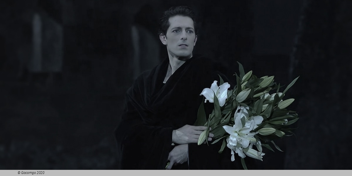 Giselle, photo 18
