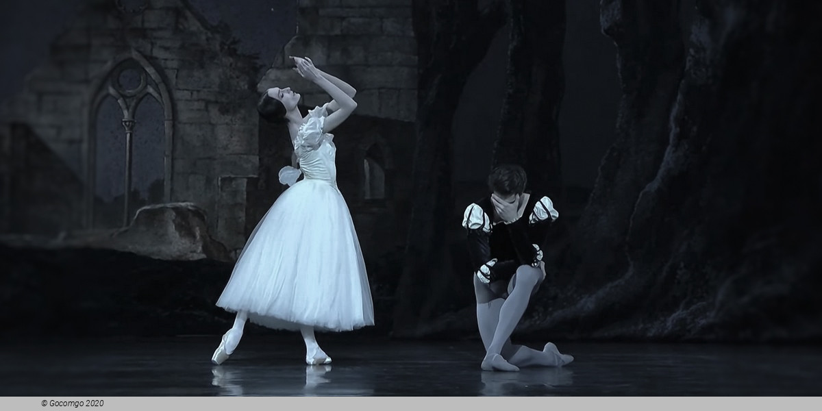 Giselle, photo 19