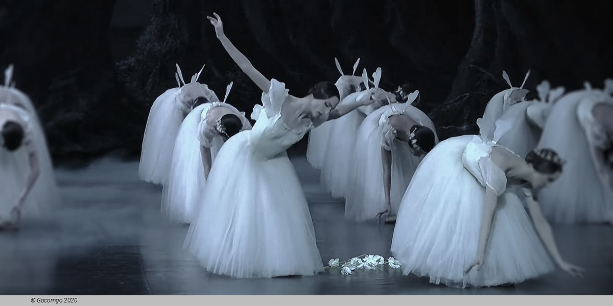 Giselle, photo 20