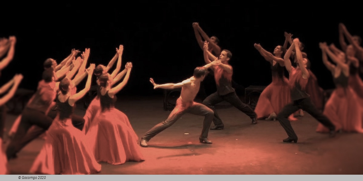 Scene 1 from the ballet "Bolero", photo 9