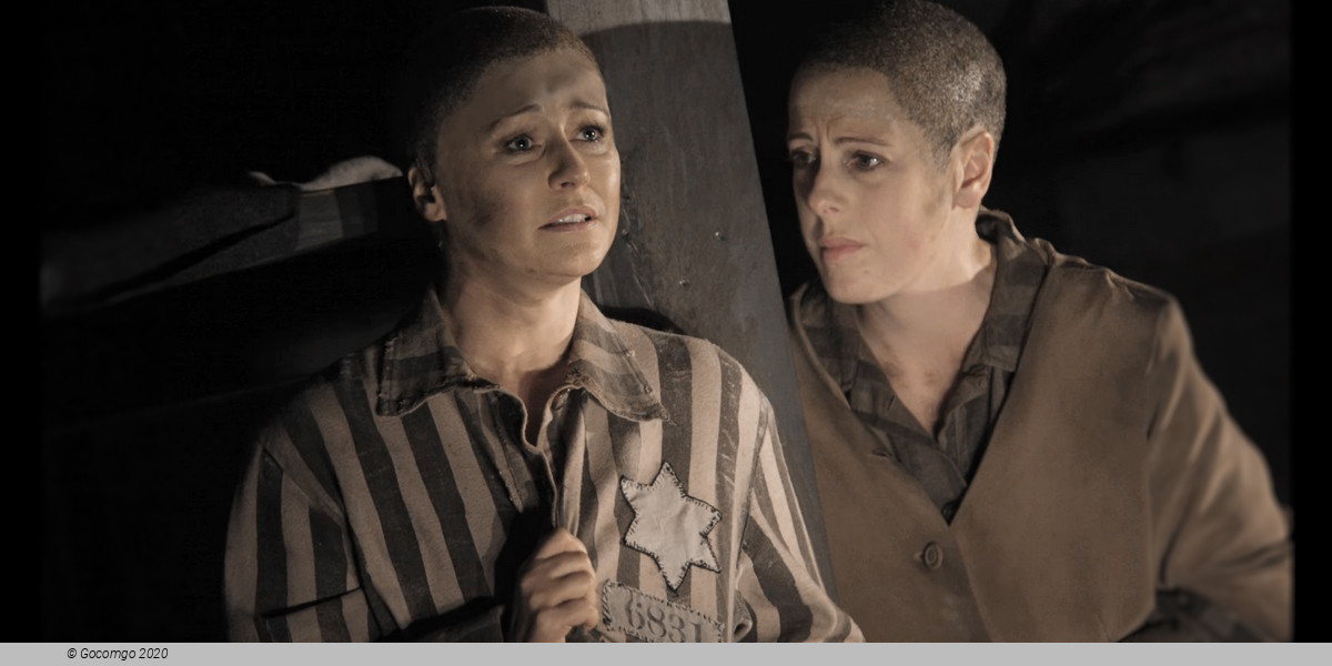 Scene 1 from the opera "The Passenger", photo 6