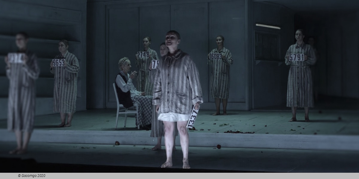 Scene 6 from the opera "The Passenger", photo 11