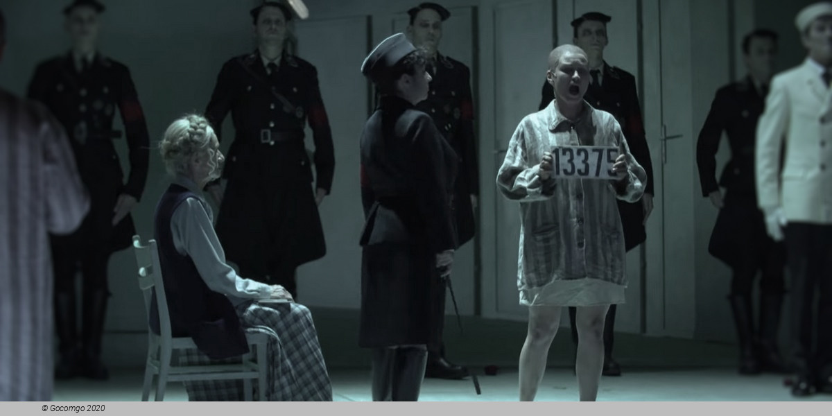 Scene 9 from the opera "The Passenger", photo 14