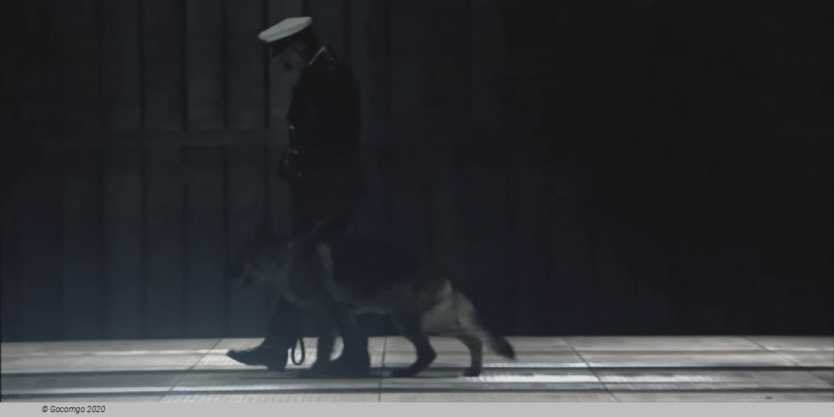 Scene 4 from the opera "Lady Macbeth of Mtsensk", photo 9